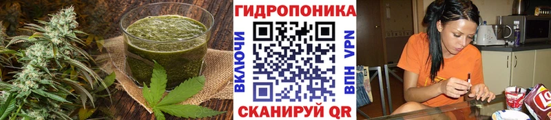 mega как зайти  Дагестанские Огни  Печенье с ТГК марихуана 
