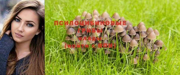 бутик Богданович