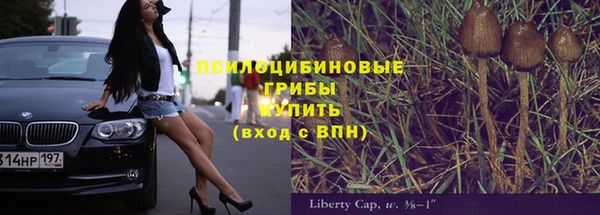 спиды Богородск