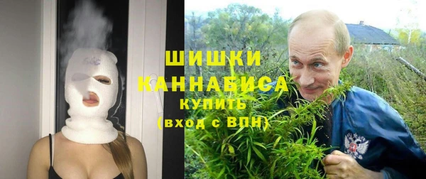 спиды Богородск