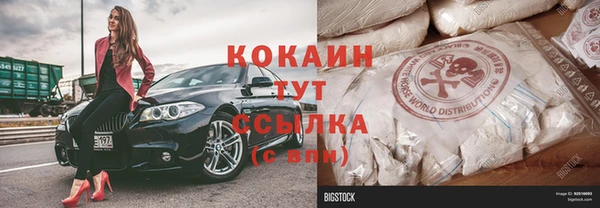 спиды Богородск