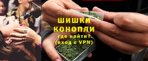спиды Богородск