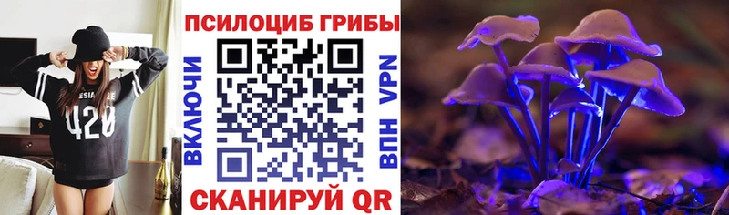 купить  цена  Дагестанские Огни  Галлюциногенные грибы MAGIC MUSHROOMS 